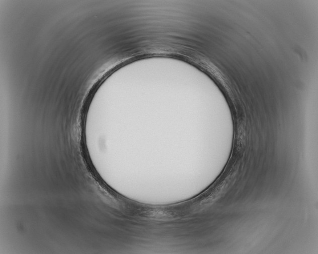 X0000113170787200910021522