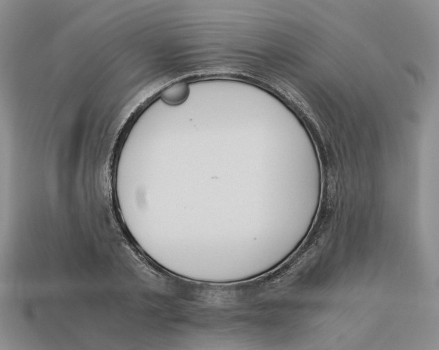 X0000113170789200910021522