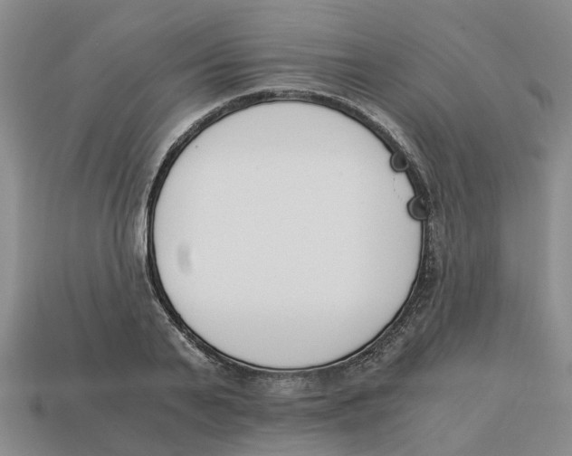 X0000113170791200910021522