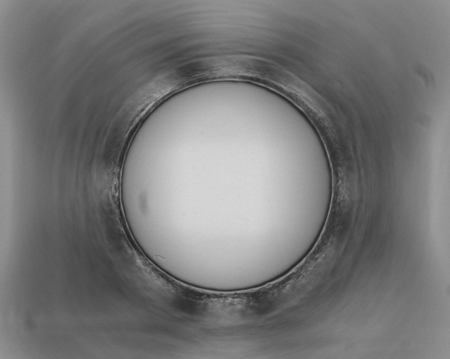 X0000113170793200910021522