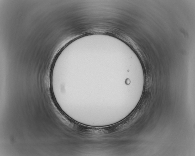 X0000113170795200910021522