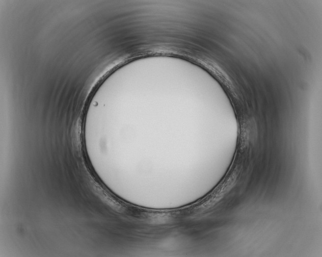 X0000113170798200910021522