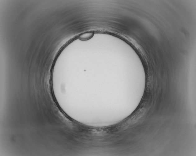X0000113170799200910021522
