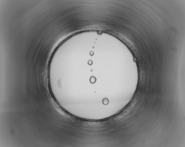 X0000113170800200910021522