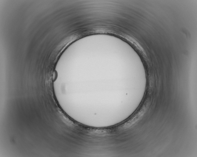 X0000113170801200910021522