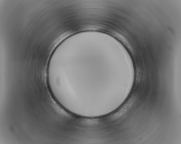 X0000113170802200910021522