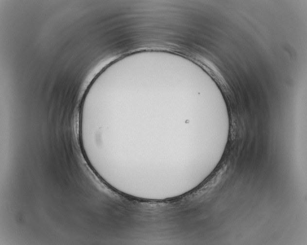 X0000113170804200910021522