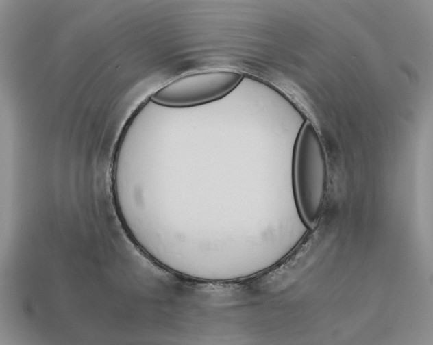 X0000113170805200910021522