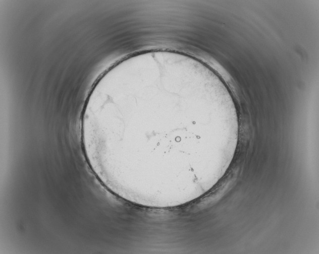 X0000113170807200910021521