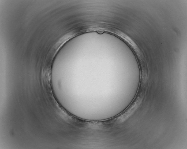 X0000113170809200910021521
