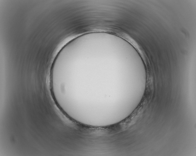 X0000113170811200910021521