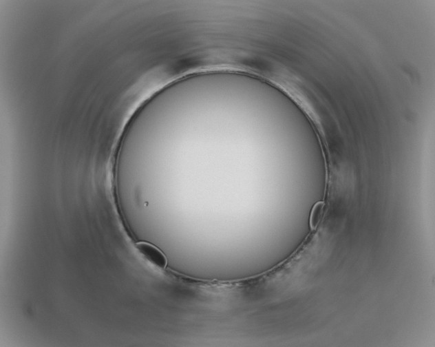 X0000113170813200910021521