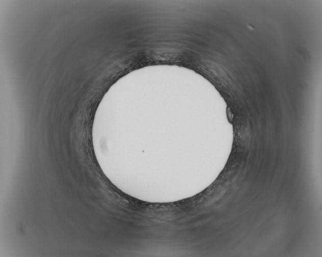 X0000113170817200910021520