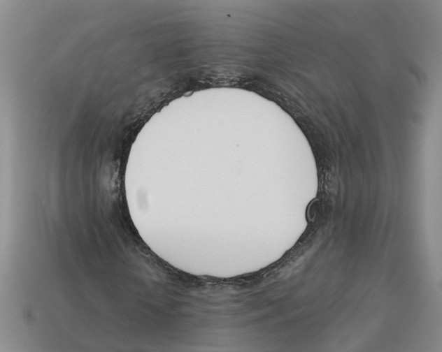 X0000113170818200910021520