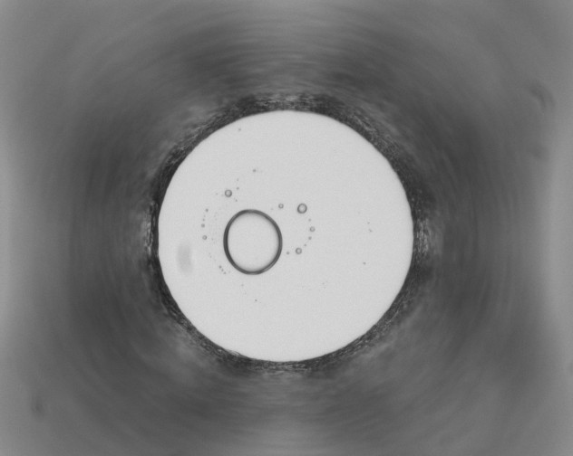 X0000113170820200910021520