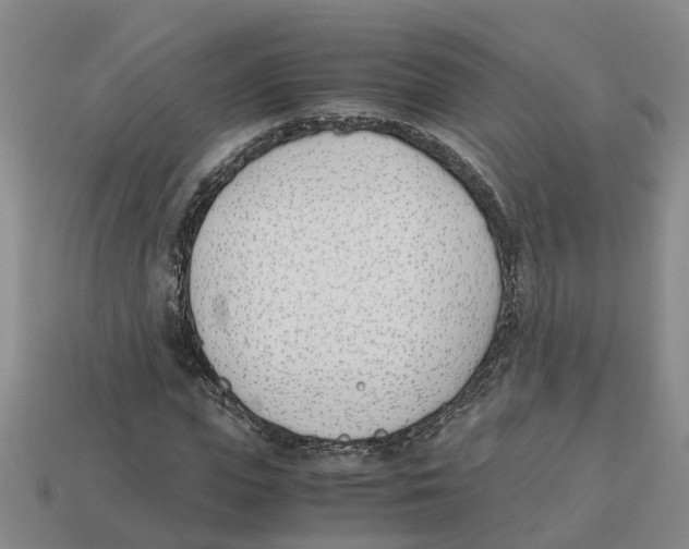 X0000113170823200910021520