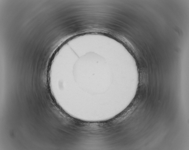 X0000113170828200910021521