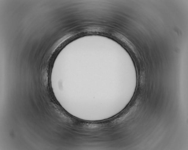 X0000113170829200910021521