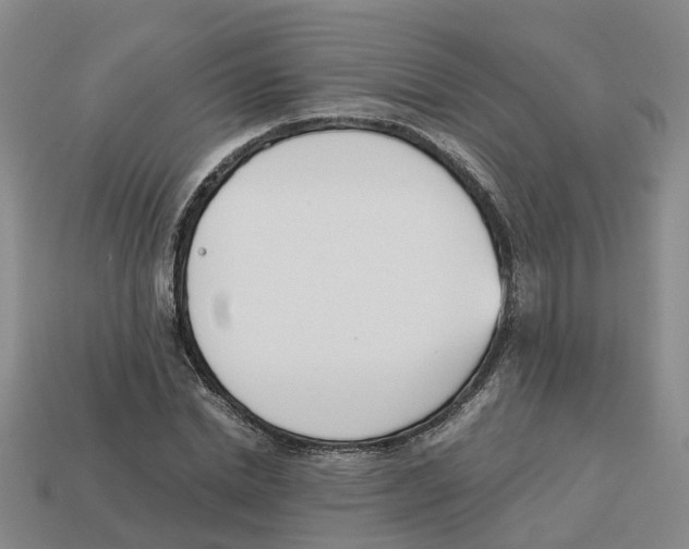 X0000113170830200910021521