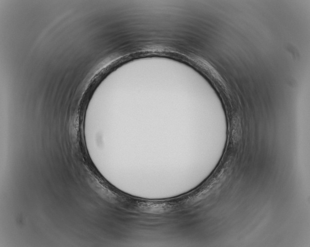 X0000113170831200910021521
