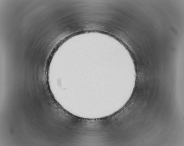 X0000113170832200910021521
