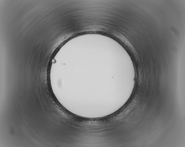 X0000113170834200910021521