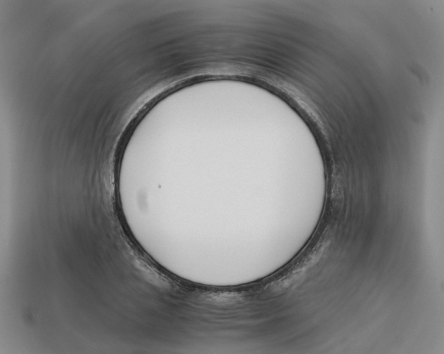 X0000113170837200910021521