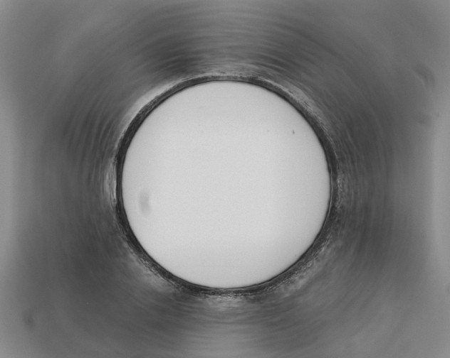 X0000113170838200910021521