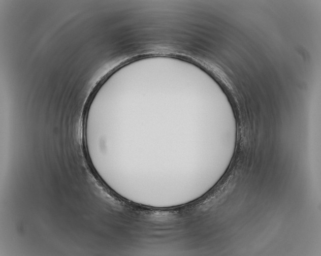 X0000113170839200910021521