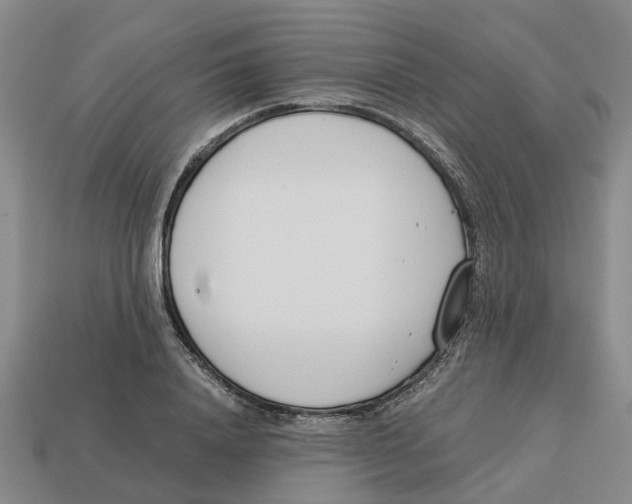 X0000113170840200910021521