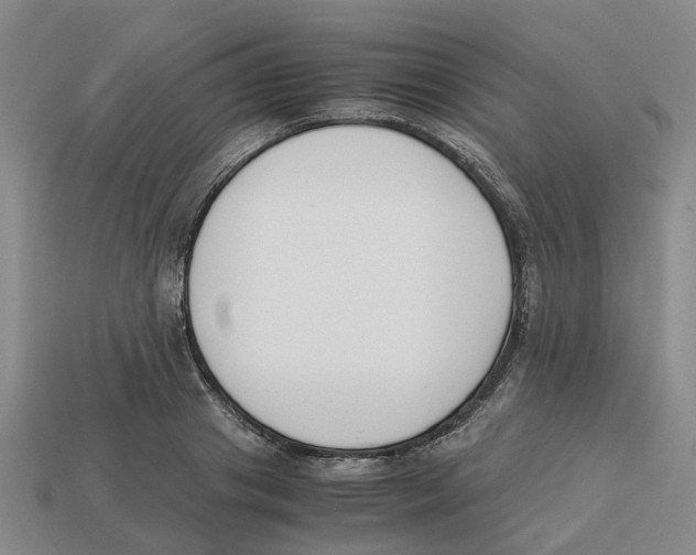 X0000113170841200910021521