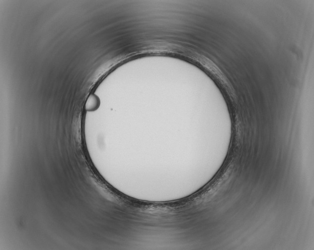 X0000113170842200910021521