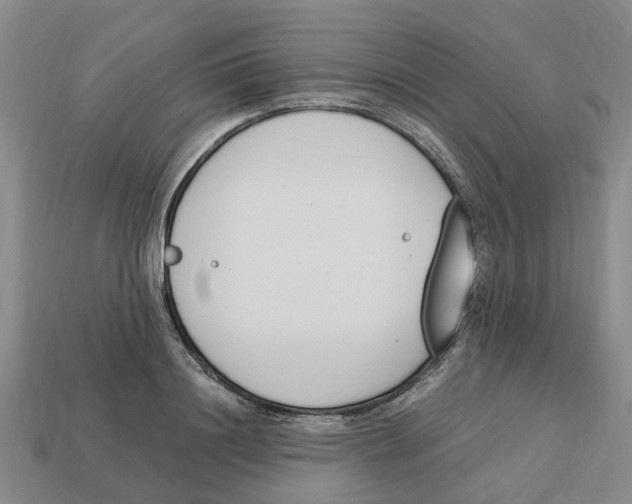X0000113170844200910021521