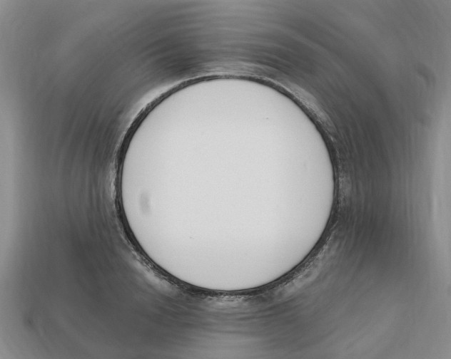 X0000113170846200910021521