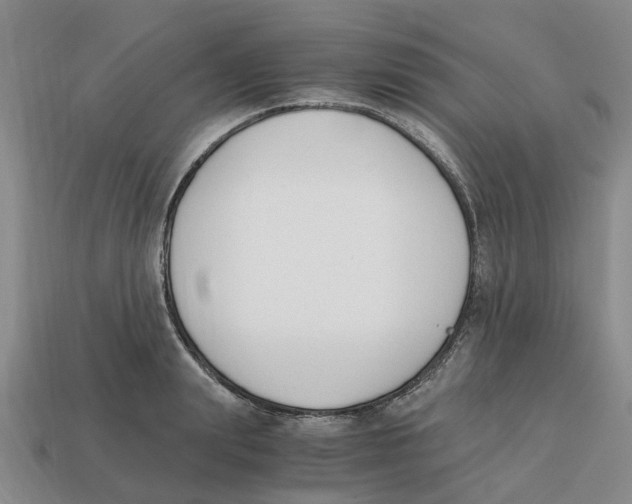 X0000113170847200910021521