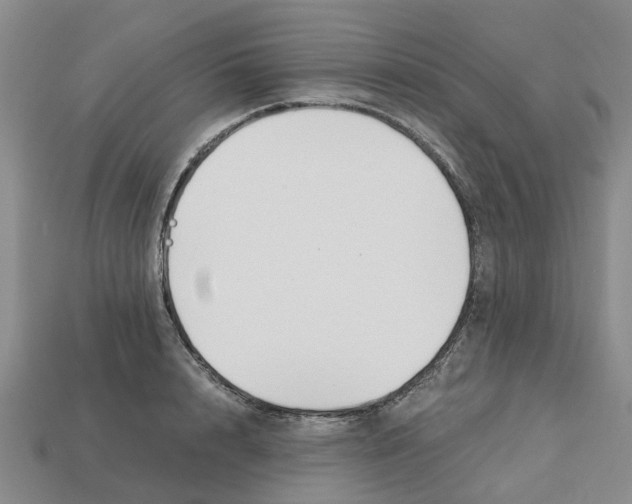 X0000113170848200910021521