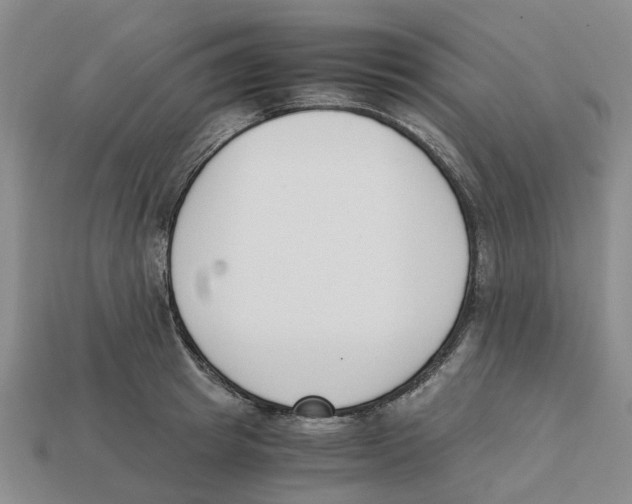 X0000113170849200910021521