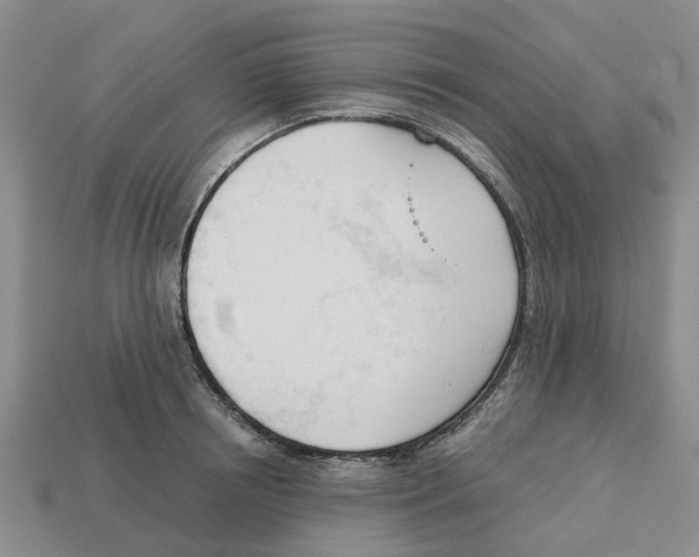 X0000113170850200910021521