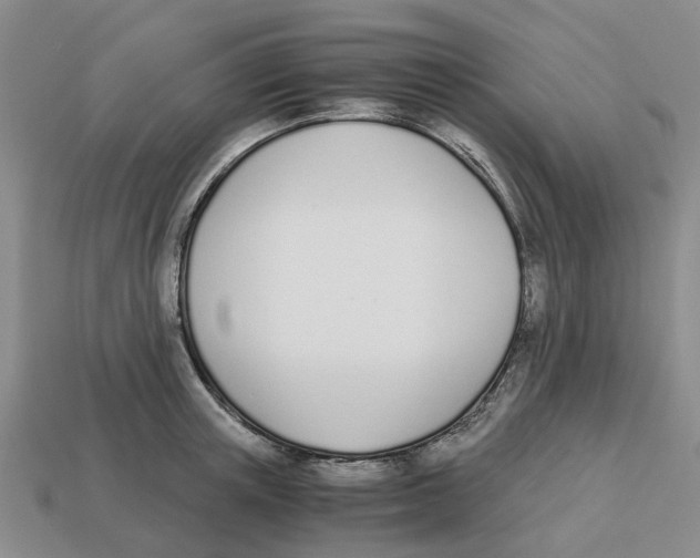 X0000113170851200910021521