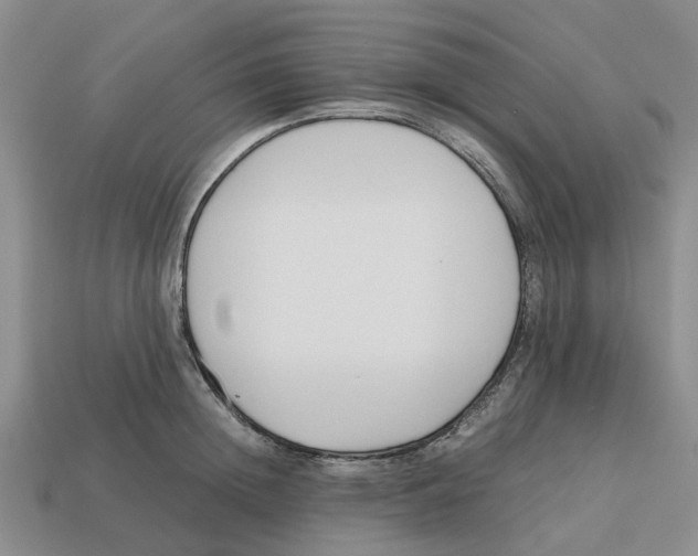 X0000113170852200910021521