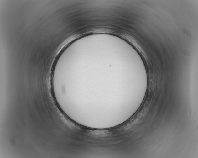 X0000113170853200910021521