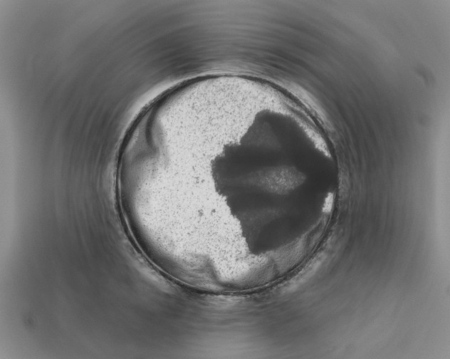 X0000113170854200910021521