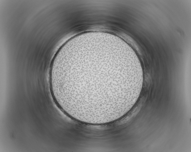 X0000113170855200910021521