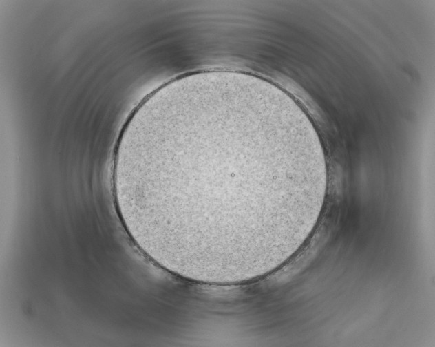 X0000113170856200910021521