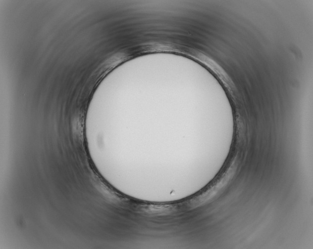 X0000113170857200910021521