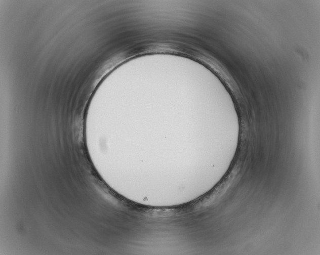 X0000113170858200910021521
