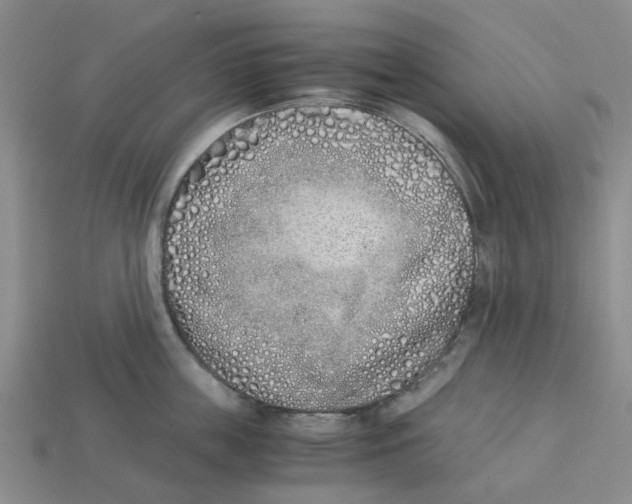 X0000113170859200910021521