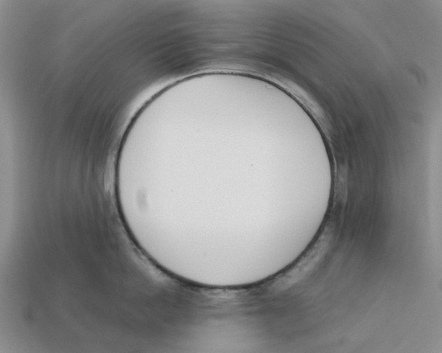 X0000113170862200910021521