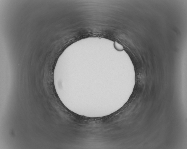 X0000113170865200910021520
