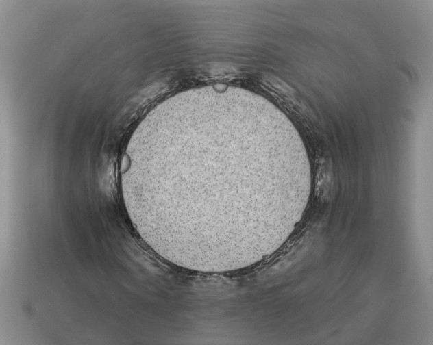 X0000113170866200910021520